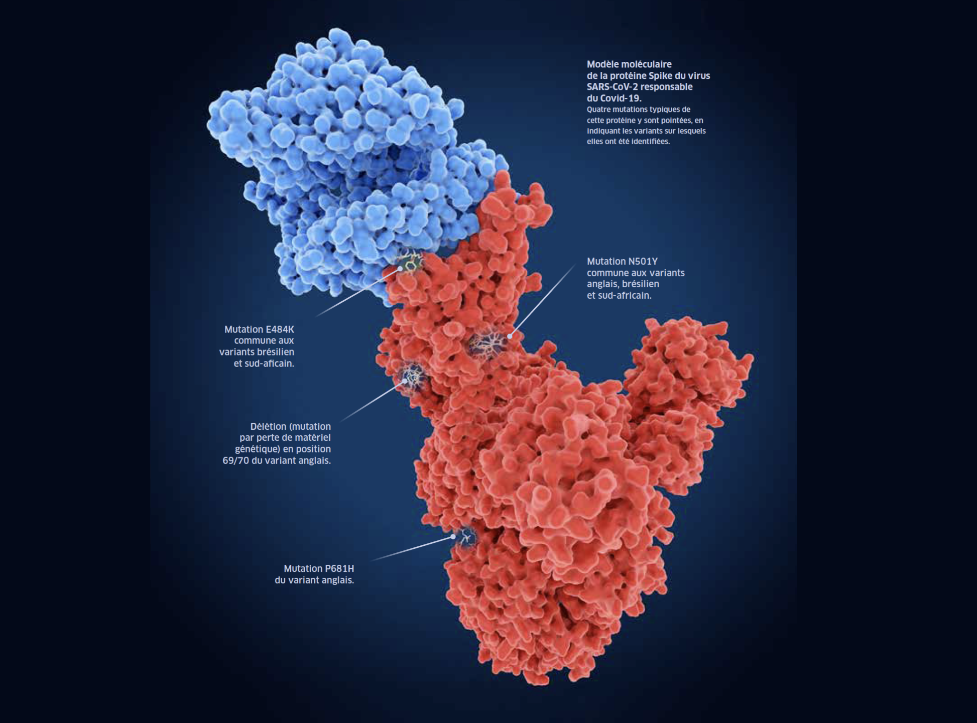 Nouvelle Variante du SARS-CoV-2 Inquiète la Scientifique