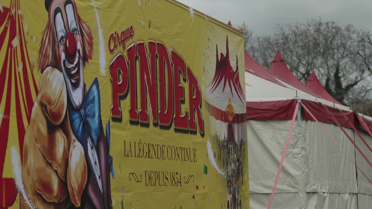 Une chaleur record et des scandales cachés dans le monde du cirque