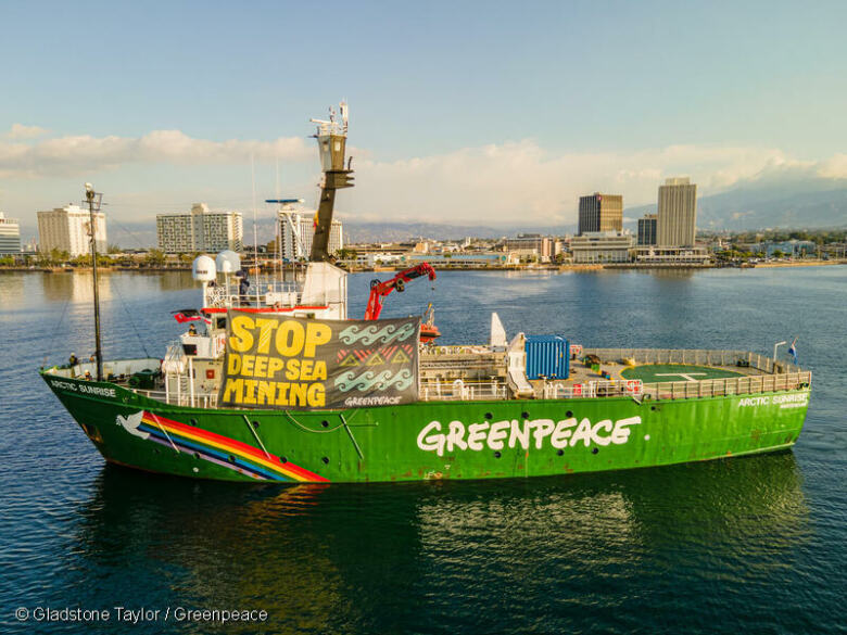 Les gouvernements mondiaux échouent à imposer un moratoire sur l&rsquo;exploitation minière en eaux profondes