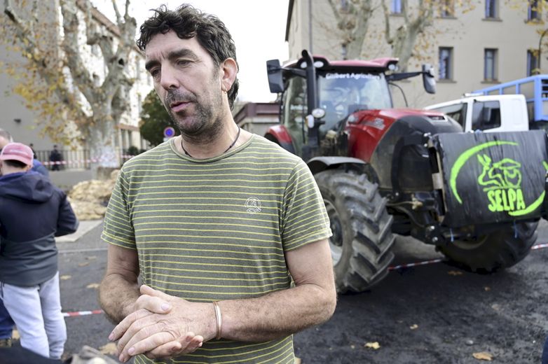 La colère des éleveurs face à l’abattage massif : une crise alimentaire en perspective